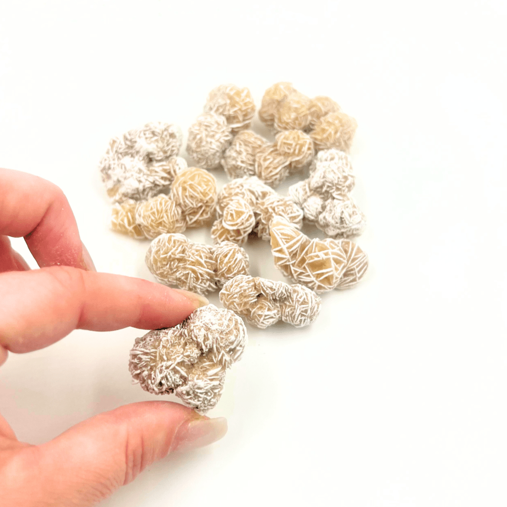 PUŠČAVSKA ROŽA